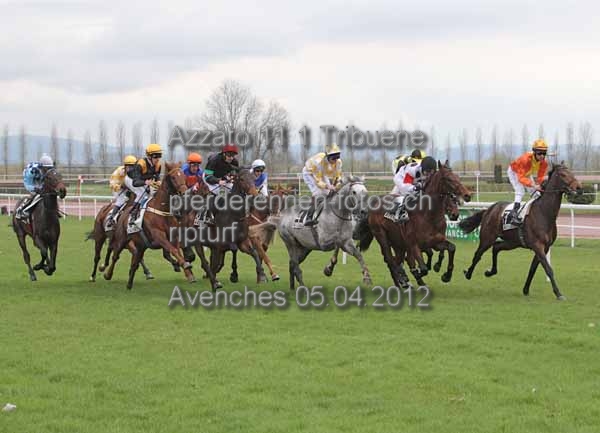 Azzato 11 1 Tribuene prot